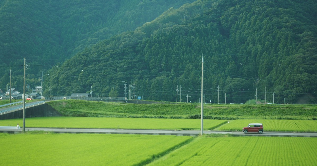 田園の道を走る車